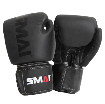 SMAI Elite85 Boxing Gloves