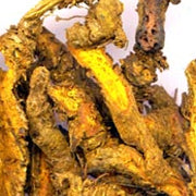 Berberine