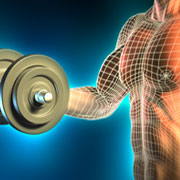 Creatine Phosphate: A Quick Guide