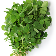 Fenugreek Side Effects