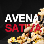 Avena Sativa: The Testosterone Boosting Benefits