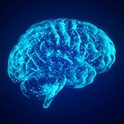 Nootropics List: The Best Natural Brain Boosting Ingredients