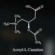 Acetyl L-Carnitine & Weight Loss