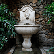 NMN: The Fountain of Youth