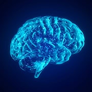 Huperzine A: Unlocking Brain Potential and Beyond