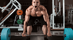 Pre Workouts High-Stim