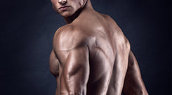 Whey Isolate (WPI)