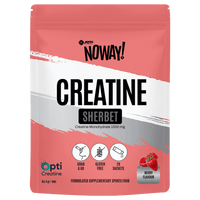 ATP Science Noway Creatine Sherbet
