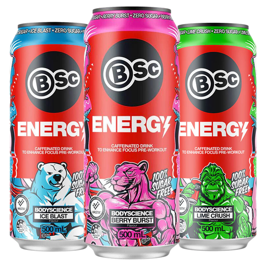 BSc Energy